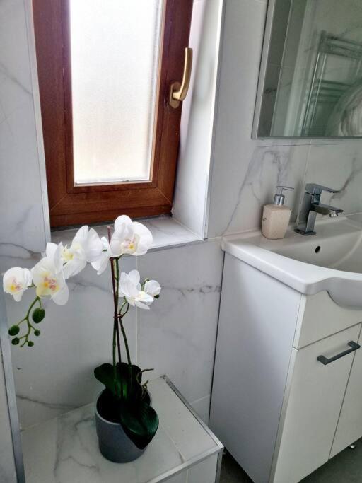 Cozy Apartment Near City Center Bukareszt Zewnętrze zdjęcie