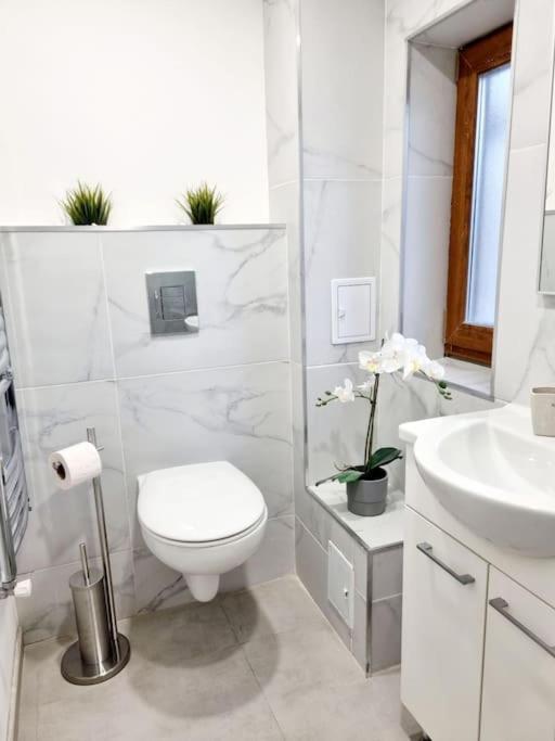 Cozy Apartment Near City Center Bukareszt Zewnętrze zdjęcie